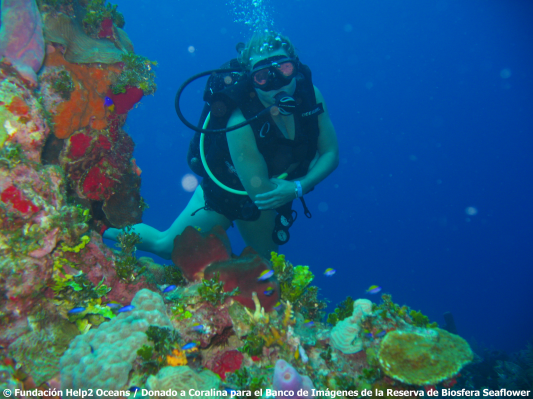 Buceo_Arrecife-de-Coral_San-Andres-Islas