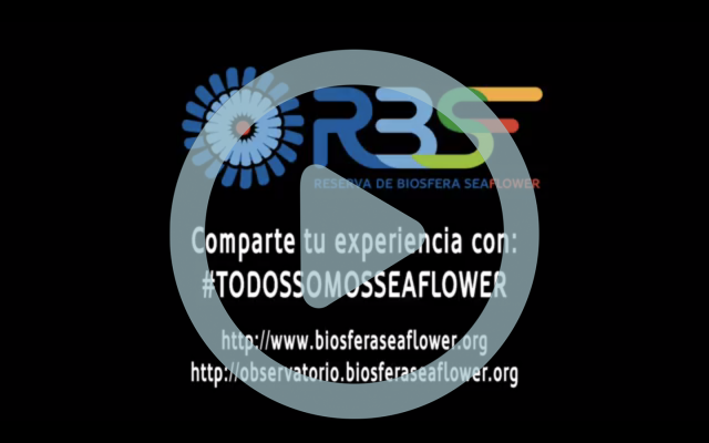 Entrevista_Edgar_JAy_Arrecifes_Coralinos_7
