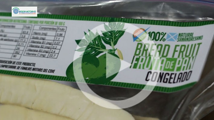 Still_frame_Bread_fruit27-2