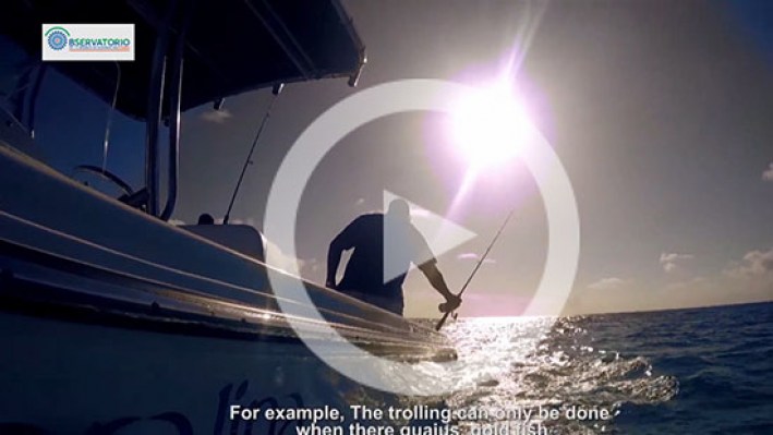 Still_frame_Pesca_Deportiva2-29