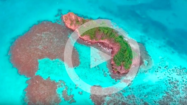 vid_banco_biocab_17_prev_1